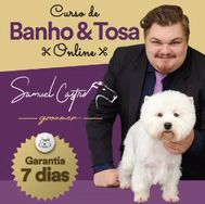 Curso de Banho e Tosa