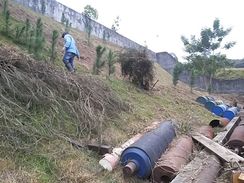 Limpeza de Terreno em Guarulhos Zap