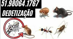 Dedetização para Pulgas Entre Outros