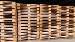 Pallets Novos