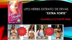 Lipo Herbis