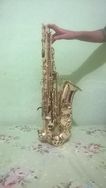 Sax Alto Sa501