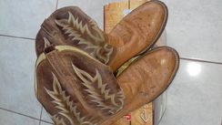 Botas Jácomo em Couro de Avestruz