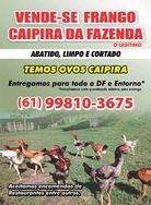 Vendo Frango e Galinha Caipira Legítimo da Fazenda, Abatido, Cortado