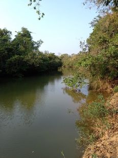 Terreno em Corinto Mg- 10 Hectares