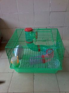 Gaiola para Hamster Verde com Labirinto