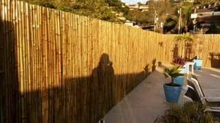 Venda de Cercas Muros de Bambu no Jsrdim Botanico