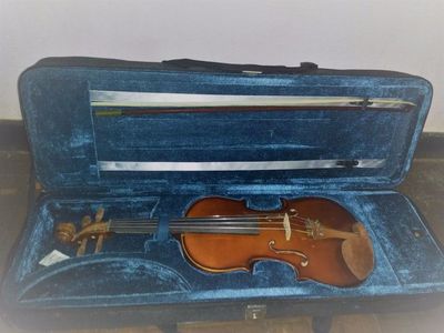 Violino Eagle Ve 441 Seminovo