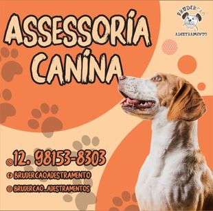 (assessoria Canina) em São José dos Campos