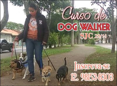 Curso de Dog Wlaker em São José dos Campos