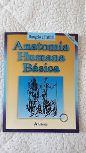 Anatomia Humana Básica Dangelo e Fattini / sem Uso