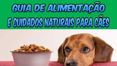 Guia de Alimentação & Cuidados Naturais para Cães