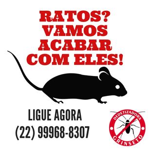 Dedetização para Ratos