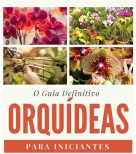 Guia Definitivo - Orquídeas para Iniciantes