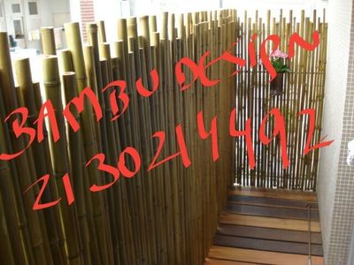 Compre Bambu Tratado em Mangaratibabambu