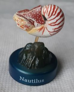 Kaiyodo Deep Sea Fish Miniatura Peixe 4,5cm Nautilus ( Molusco Concha