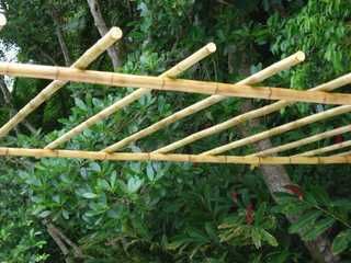 Venda Bambu Tratado em Buzios e Cabo Frio,
