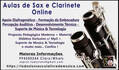 Aulas de Saxofone ou Clarinete Online
