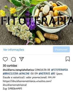 Consulta de Fitoterapia Brasileira