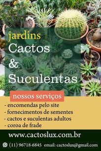 Jardins Cactos e Suculentas