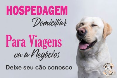 Hotel e Creche de Cães em São José dos Campos