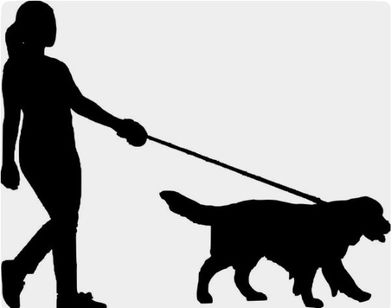 Dog Walker, Pet Sitter e Adestramento