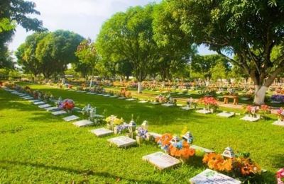 Jazigo Cemitério Parque da Paz Pacheco