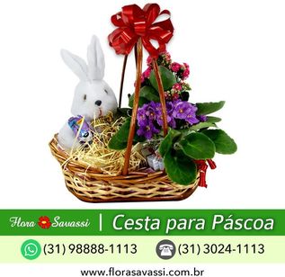 Cesta de Páscoa, Cesta de Chocolate, Flores Entrega em Esmeraldas MG