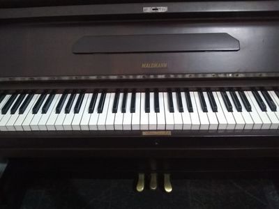 Piano Waldmann