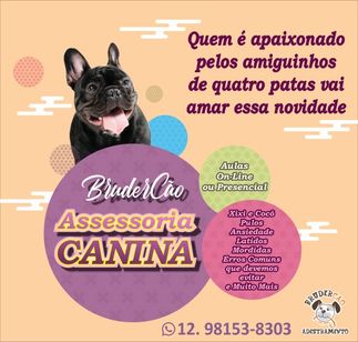 Adestramento (assessoria Canina) em São José dos Campos