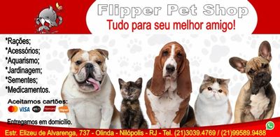 Pet Shop em Nilópolis - RJ