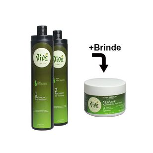 Kit Progressiva - Shampoo e Redutor de Volume Vivá + Brinde!