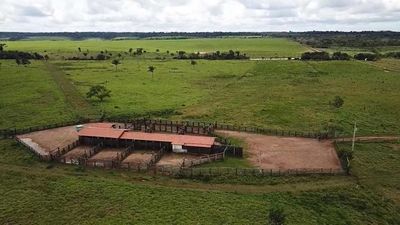 Fazenda para Soja e Pecuária em Rondônia