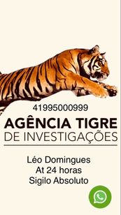 Detetive Léo Domingues Sigilo Absoluto