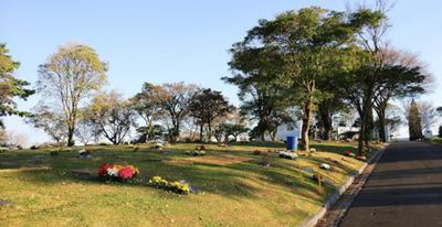 Terreno com Jazigo Especial de 6 Gavetas no Cemitério Parque dos Ipês