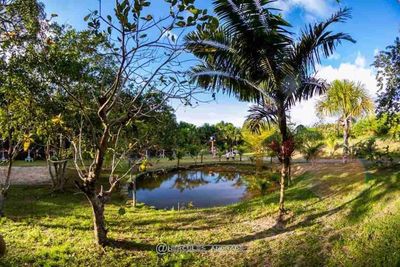 Chácara com 3 Dormitórios à Venda, 64000 m2 por RS 1.600.000,00 - área Rural - Manaus-am
