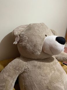 Urso Teddy de Pelúcia Gigante