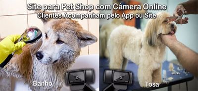 Site para Pet Shop com Câmera Online Via App e Site
