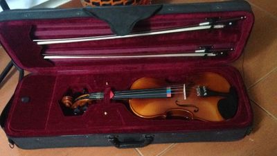 Violino Michael Vnm47