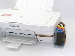 Impressora Canon Mg2410 com Bulk Ink