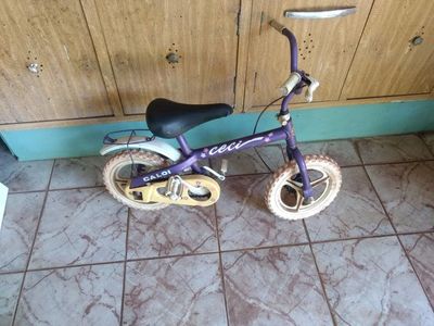 Bicicleta Infantil 2