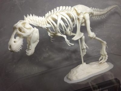 Esqueleto Tiranossauro Rex em ABS