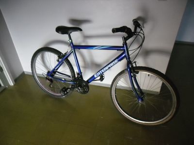 Bike 300,00