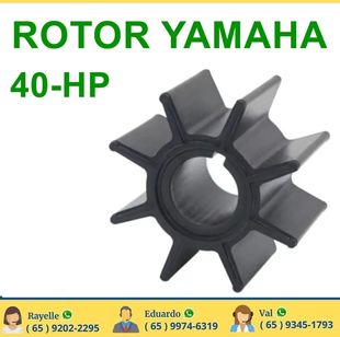 Rotor do Motor de Popa 40hp Yamaha