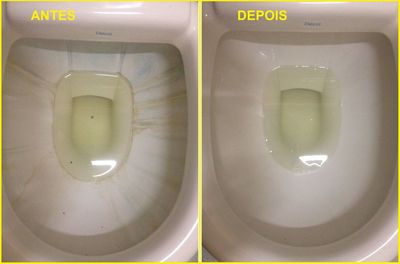 Cleaner Remove Limpador Concentrado para Sanitários e de Uso Geral
