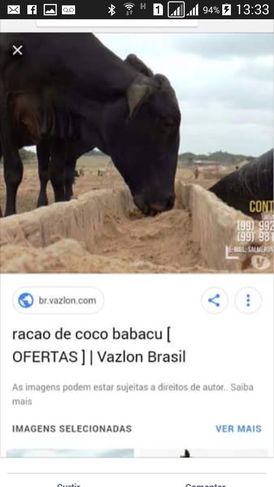 Farelo do Coco Babaçu