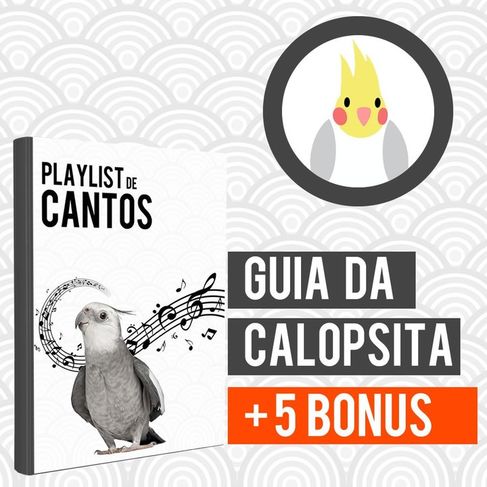 Calopsitas - Guia da Calopsita Completo + 5 Bonus