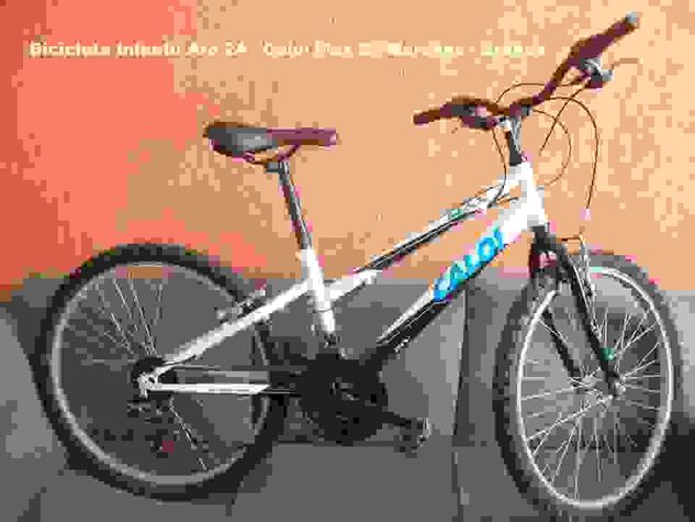Bicicleta Infantil Aro 24 Caloi Max 21 Marchas