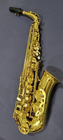 Vendo Saxofone Alto Milano - Novo