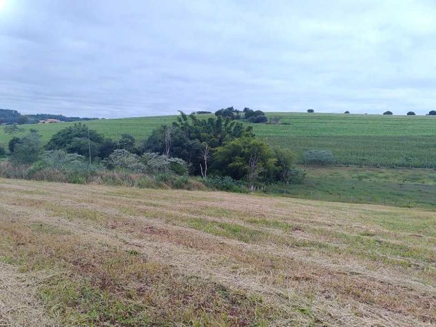 Chácara 42.600m2 a 200m da Venda dos Preto - Londrina